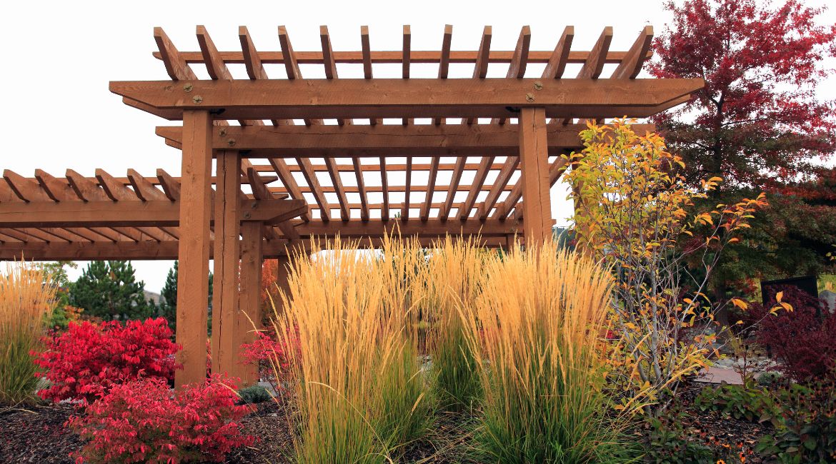 pergolas en madera bogota